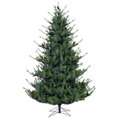   Black Box   185  -      - "  "