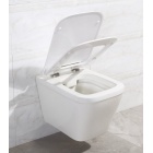 Подвесной унитаз безободковый (чаша) BelBagno Dory BB522ACHR