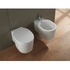 Унитаз подвесной с сиденьем Scarabeo Bucket 8812/CL/8814/B